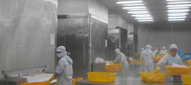 Lắp đặt Kho đông Công Nghiệp