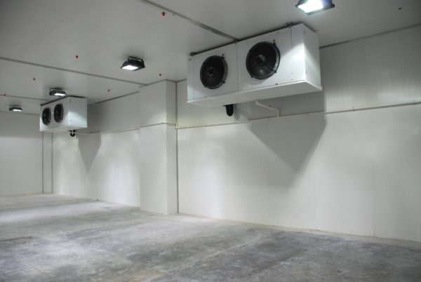 Sửa Chữa Kho đông Công Nghiệp Tại Bến Tre